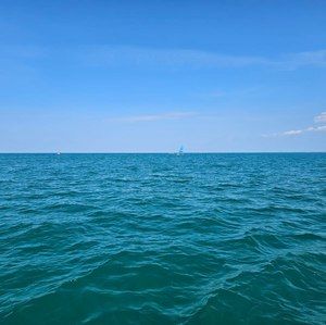 Meet your Posher, Jim